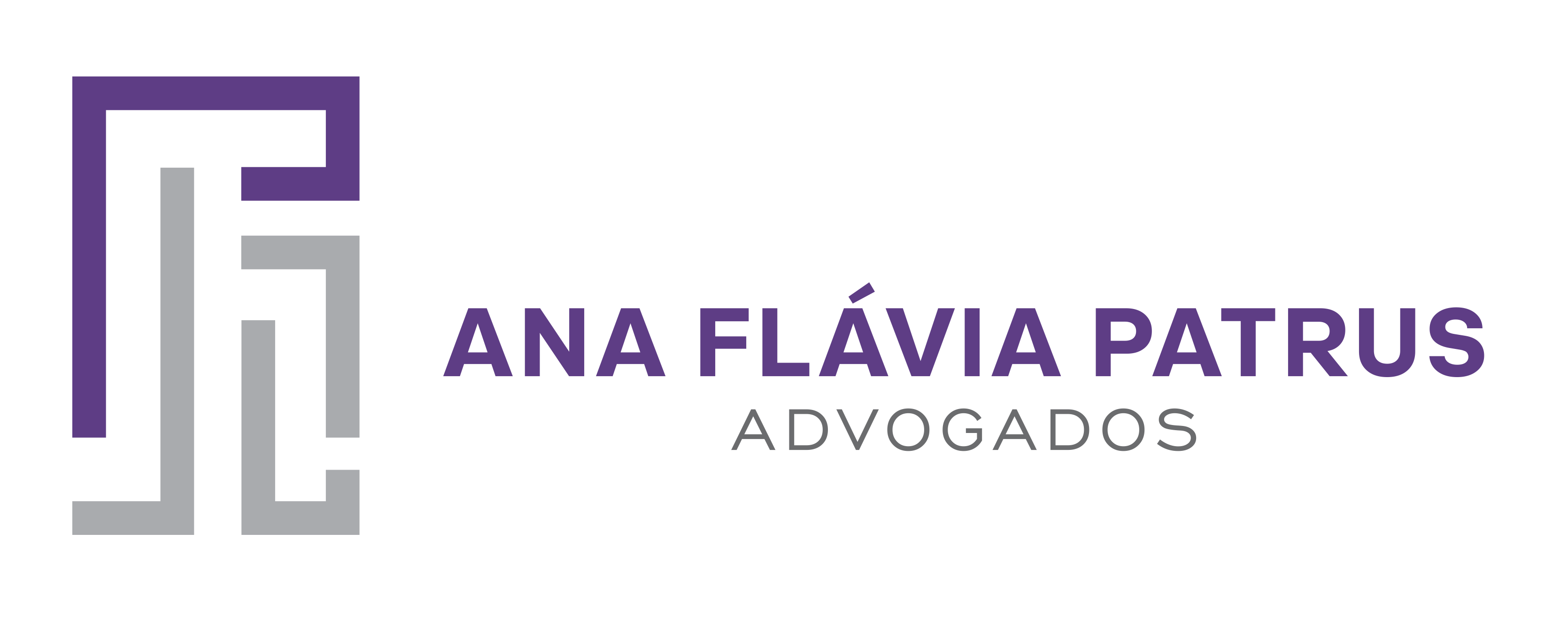 Ana Flavia Patrus